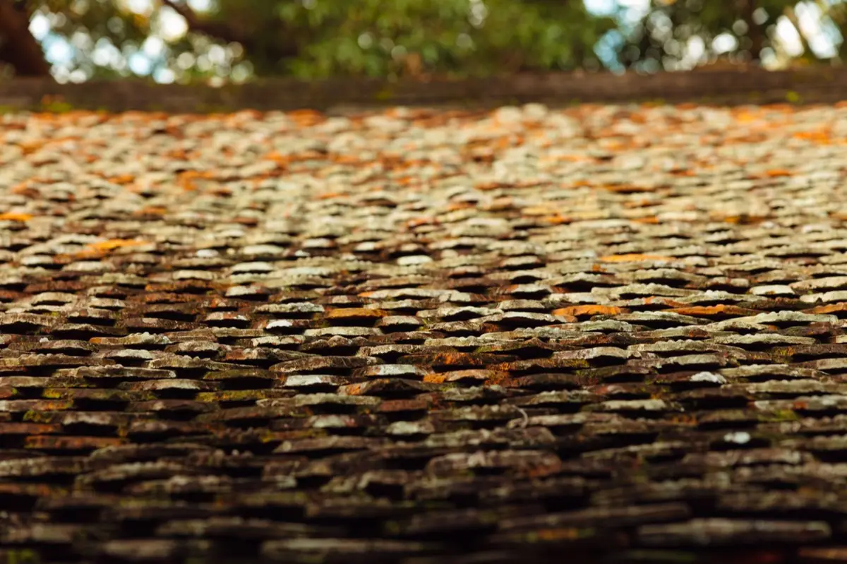Aging shingle roof with moss growth and granule loss in Keller, TX